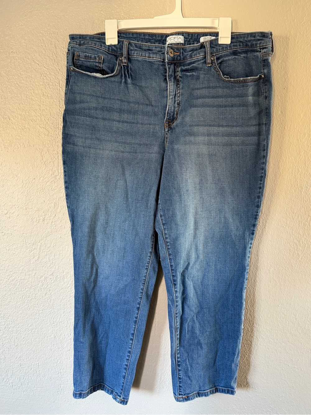 Sofia Vergara Bagi Boyfriend Jeans Woman’s Plus Size 20S Short Petite